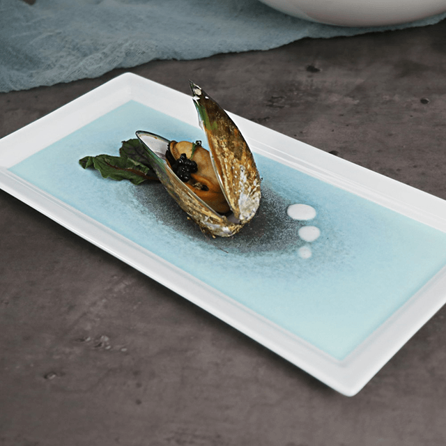 أواني الطعام الإيطالية ، أواني المائدة ، أواني الطعام الفرنسية ، أواني الفخارية غير اللامعة